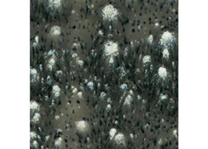 Mayco Crystalites Brush-On Glaze: Cosmic Black 473ML 473ml